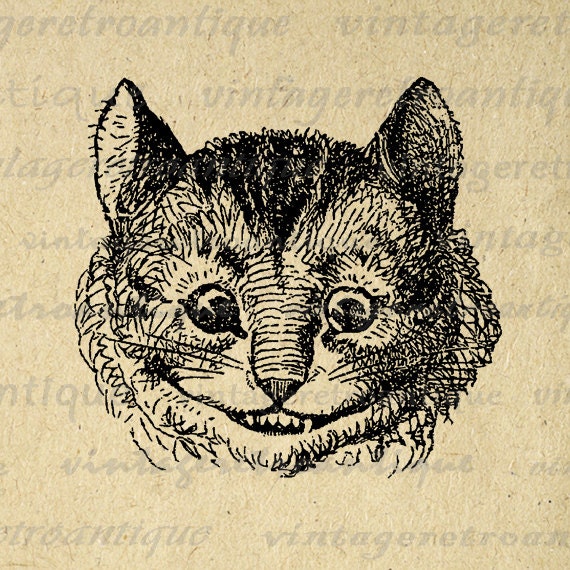 Alice In Wonderland Illustrations Cat