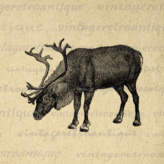 vintage deer clip art - photo #42