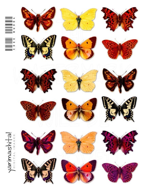 Items similar to Digital Butterflies images Vintage Collage sheets