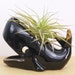 Small Vintage Whale Planter