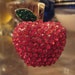 BRILLIANT Red Apple Pill Box Jewelry Case and Pendant