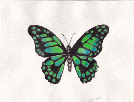 Original Watercolor Painting Blue and Green Butterfly