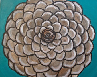 fibonacci spiral pine cone