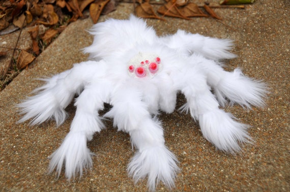 giant spider teddy