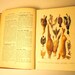 Mrs Beeton's All About Cookery 1909 Ward, lock and Co..great pictures graphics prints..antique cook book from the cottage book no.405
