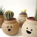 Hairy Babes Plant Pot: FABIO