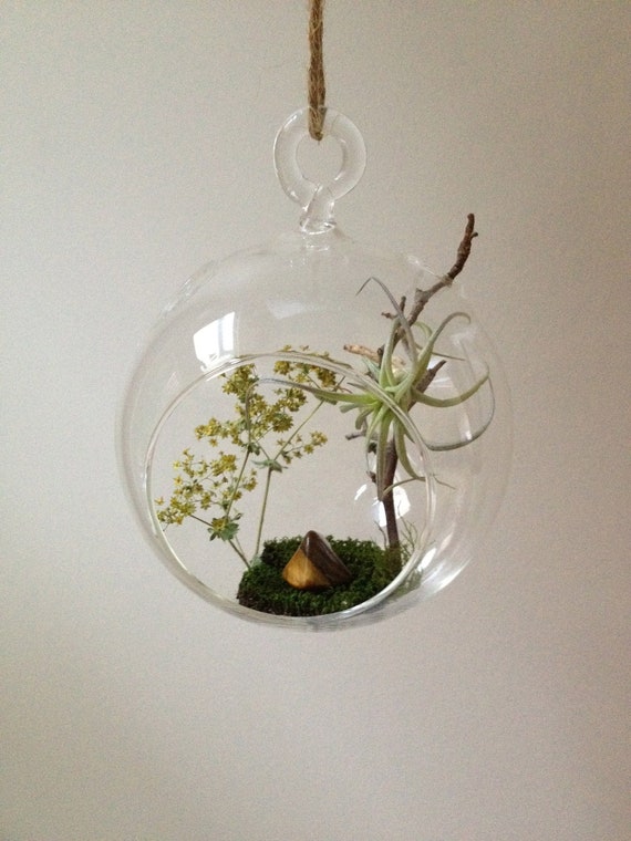 Items similar to Mini Zen garden on Etsy