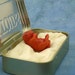Baby Rat in Altoid Tin- Original Mixed Media Rodent Sculpture