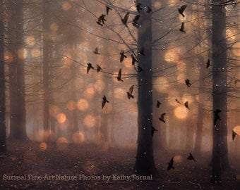 Nature Photography, Surreal Haunting Woodlands, Fantasy Fairy Lights Stars Birds, Surreal Brown Nature Art, Fairytale Nature Wall Art Decor