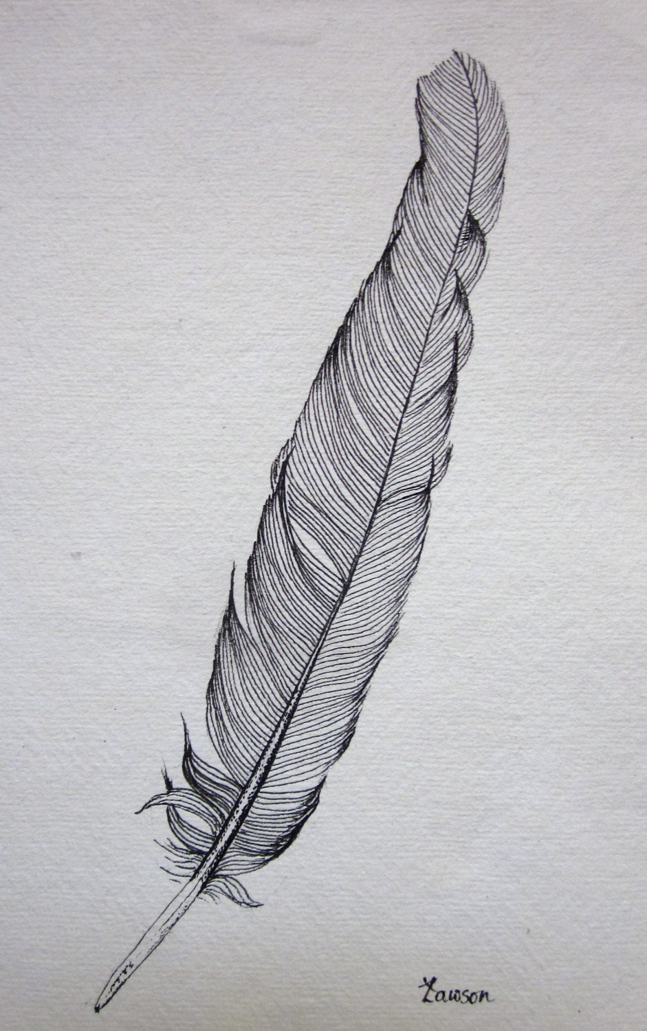 Black Feather original ink drawing by anne4bags on Etsy
