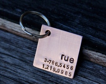 Custom Square Dog Tag / Pet ID Tag - Rooney, in 1'' Brushed Aluminum or Copper