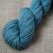 Naturally Dyed Organic Merino Worsted Weight Yarn 210 yards in Sagebrush