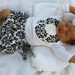 Girls Coming Home outfit Damask Custom Ruffled Bloomers Set