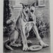 Sweet GREAT DANE Art Print or DALMATIAN Art Print Vintage 1940s Morgan Dennis Art Print 29