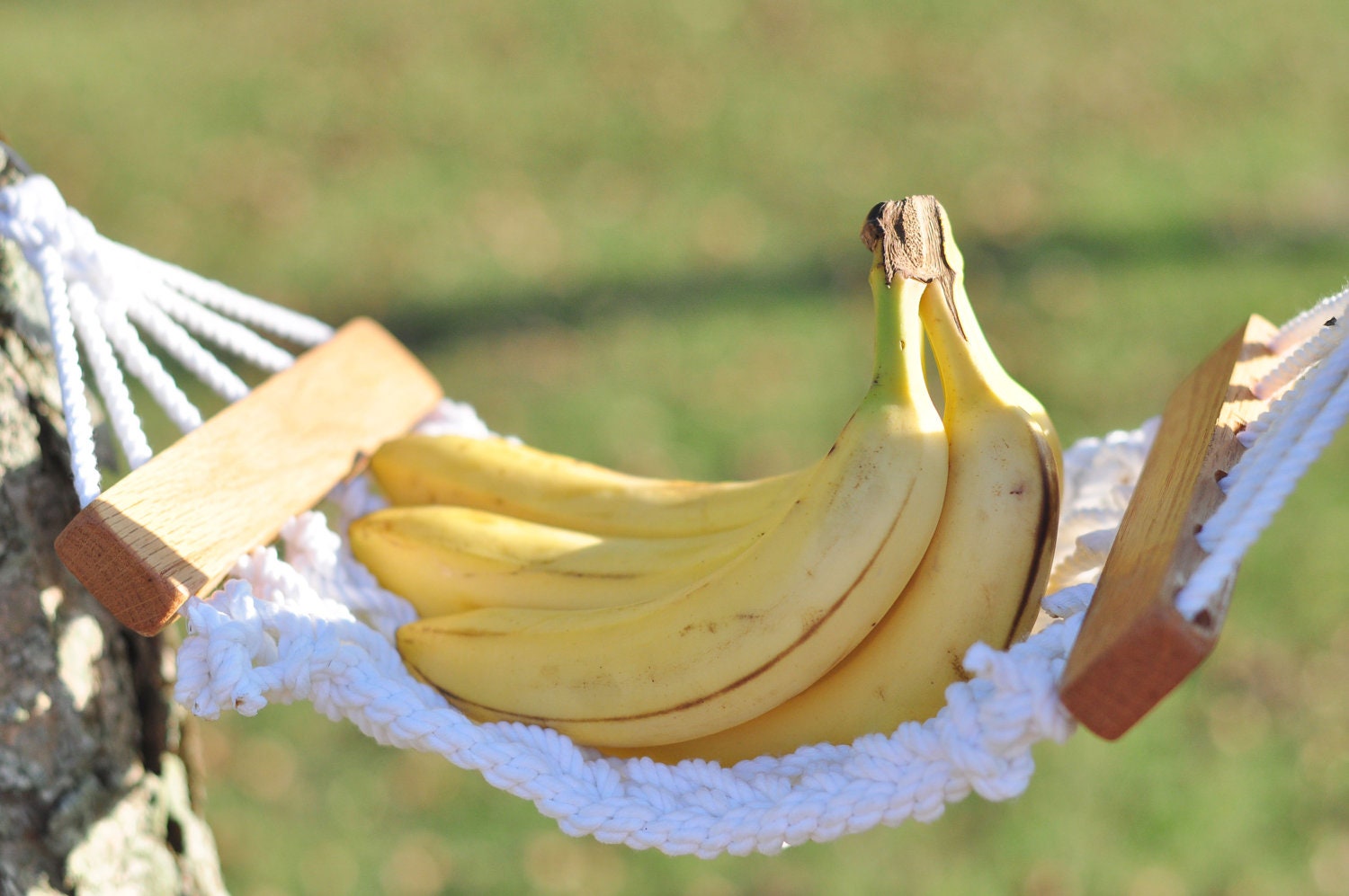Banana hammock pictures