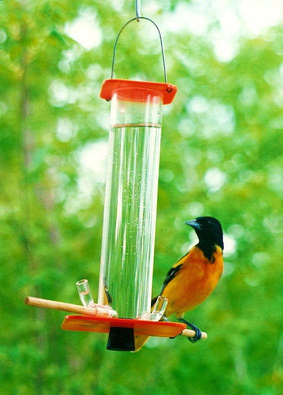 oriole feeder or 1 by peter s feeders this by petersfeeders oriole feeder or 1 by peter s feeders this by petersfeeders