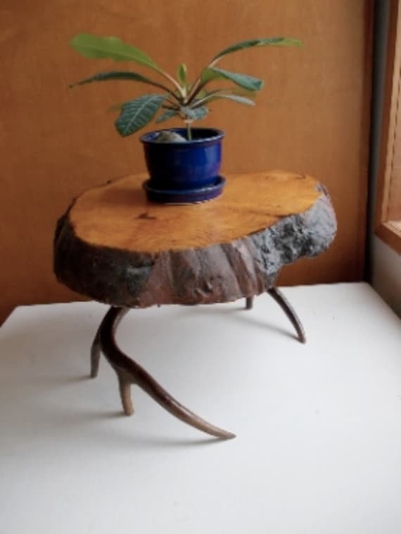Vintage Antlers and Burl Wood Side Table Footstool : Live