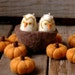 Felted Baby Owls in a Nest