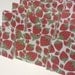 18 Mini Cards - blank for thank you notes - strawberries