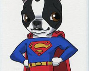 Superman - Boston Terrier magnet