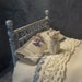 PLACE an ORDER for a Mini Dollhouse Kitty 1:12 scale (91412-DH)