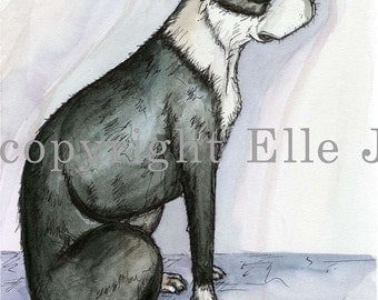 Besides - Boston Terrier Art Dog Print