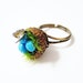 Bird Nest Adjustable Ring: Miniature Acorn Cap Nest with Robins Blue Eggs and Tiny Monarch Butterfly - Gift Wrapped