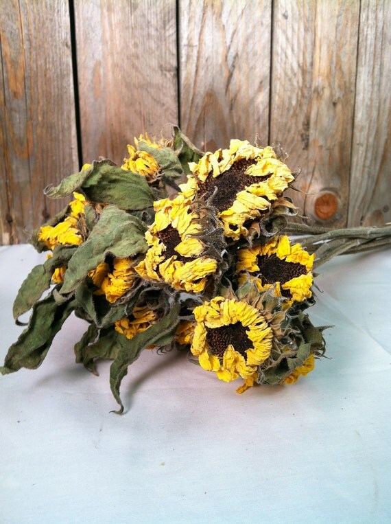 Unavailable Listing on Etsy