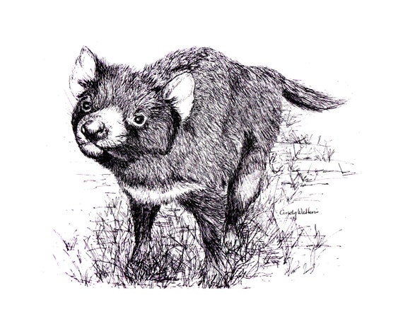 Tasmanian Devil on cotton black and white Fabric Panel
Devil Illustration Black And White