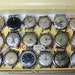 Watch Destash Lot (18) for Jewelry Mixed Media and Steampunk Art in Cigar Box