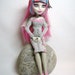 Monster High Paris Doll Dress and Jewellery