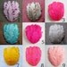 Wholesale Feather Pads - YOU PICK 10 - Nagorie Curled Goose Feather Pads
