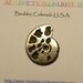Sale PYRITIZED AMMONITE Natural Flat Polished Fossil Shell Slice From Russia Sale