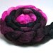 Knockout - 4 oz Pink Burgundy Black Handpainted Mixed BFL Tussah Silk Wool Roving Top
