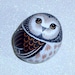 Owl, woodland wildlife, spring, charming, collectible, bird of prey, moss terrarium, shadowbox, hanging garden globe, hand painted rock