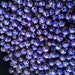 DE-STASH / Beading Supplies - Fimo Polymer Clay 9mm Round Beads w/ 1.5mm Holes (Purple, Yellow & Blue Flowers) Wholesale Bulk Loose Beads