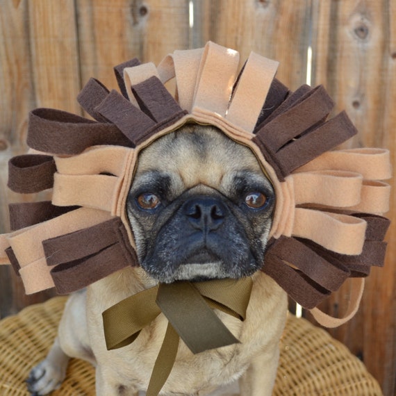 Items similar to LION Dog costume, Halloween costume, lion king, roar