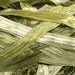 Silvery Sage Greens Ice Green Shades Ribbon Yarn 18155