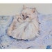 Choupette Lagerfeld Note Card Set: Set of Five Cards and Envelopes