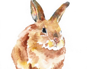 Watercolor Painting Bunny Rabbit Giclee Print 8x10 - 8.5 x 11