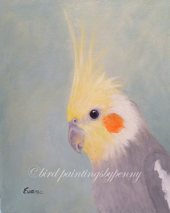 Cockatiel painting FASCINATOR II 8 x 10 by birdpaintingsbypenny