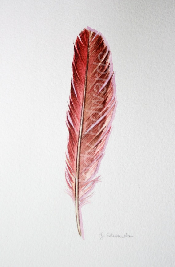 Red Feather Red Cardinal Feather 433 ORIGINAL Watercolor