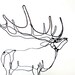Elk Wire Sculpture