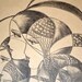 Vintage drawing of Flapper girls in hats Art Deco Drawing