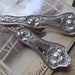 Beautiful Set of 2 Large Ornate Floral Serving Spoons - Poppy 1914 Pattern