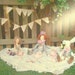 Special Reserved Listing for Elaine - 3 Alice Dolls
