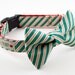 LAST ONE - Green Peppermint Stripes Holiday Dog Bowtie Collar