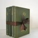 Vintage and Antique Books Bundle Green Olive Slate Pine Classics for Display Home Decor