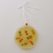 Petri Dish Ornament H7: Flagellate Kitty Microbes