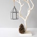 glass display trinket jewelry box // hanging